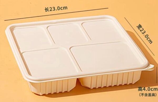 Disposable Recyclable Bento Box 5 Sections