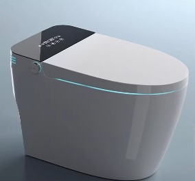 Smart Toilet Bowl Singapore