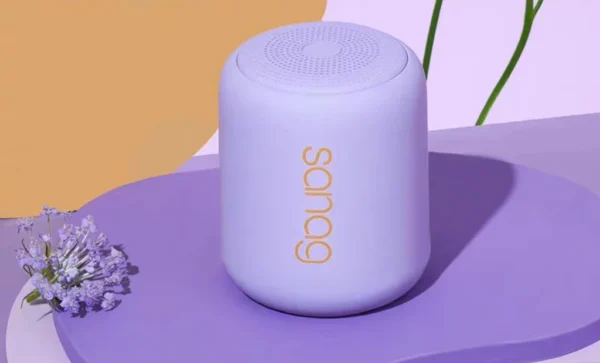Wireless Speaker Singapore