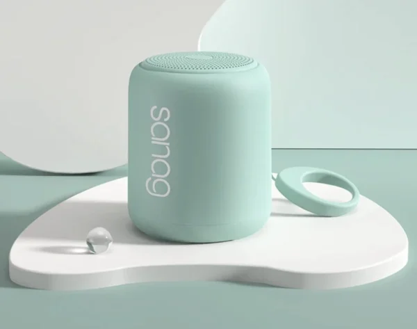 Wireless Speaker Singapore