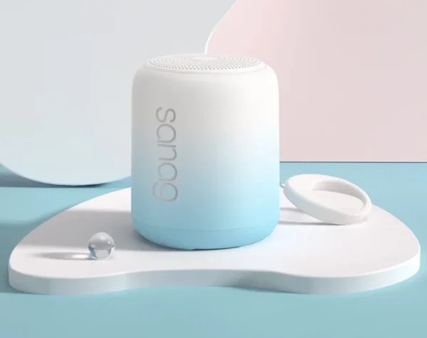 Wireless Speaker Singapore